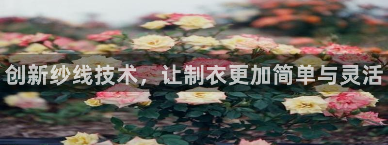澳门大利来记官网
