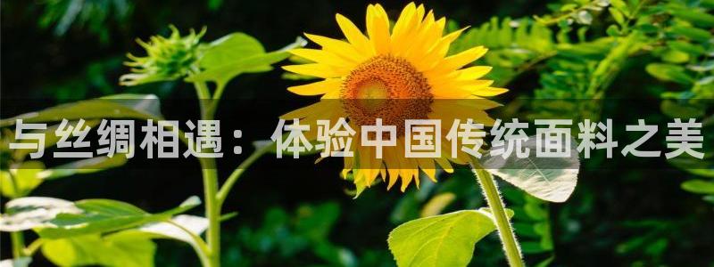 利记真正的官网是多少