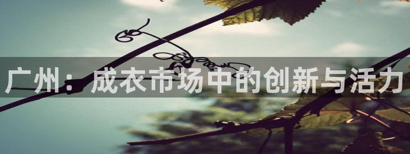 sbotop利记官网