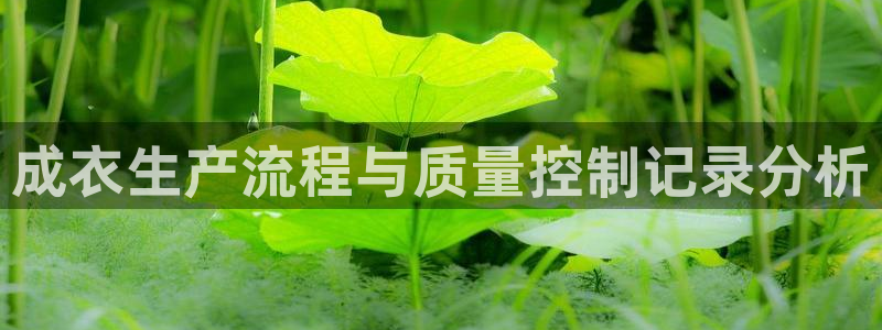利记手机官网电子mg官方网站