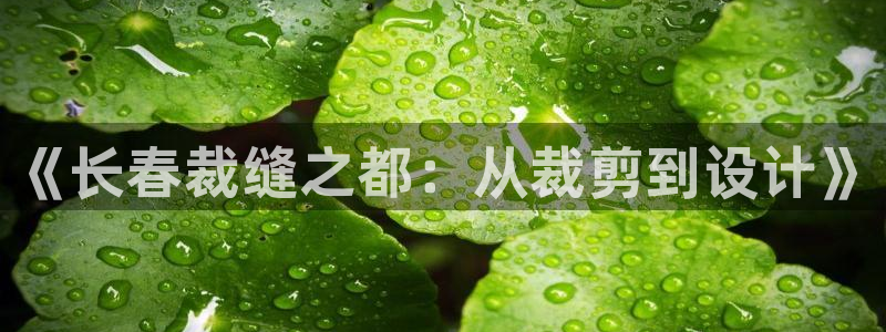 万利记官网电话