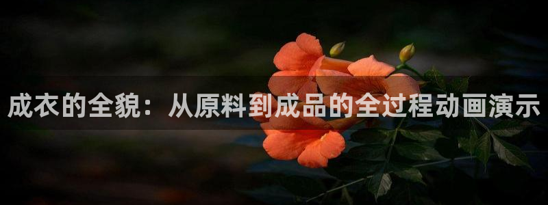 利记体育手机版官网