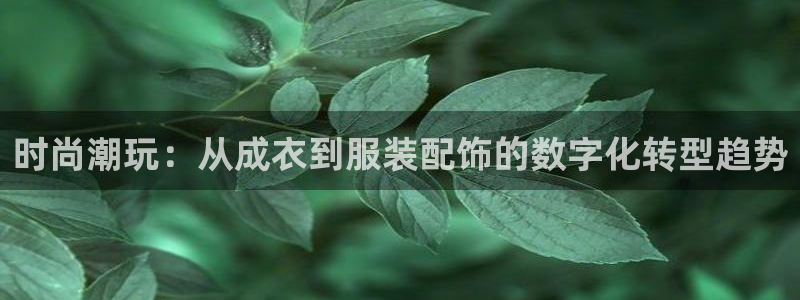 新利记官网