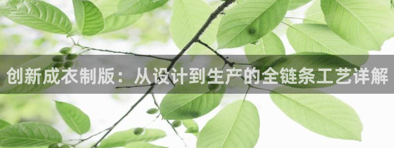利记网官网网址