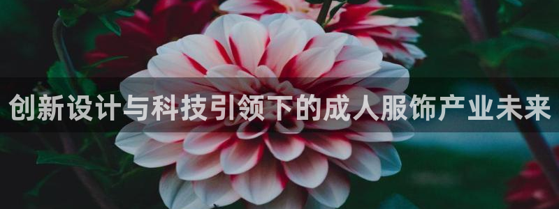 利记平台官网首页