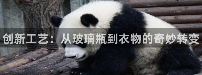 利记bet官网登录入口