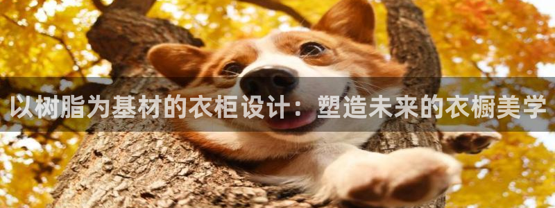 利记彩票官网hd71