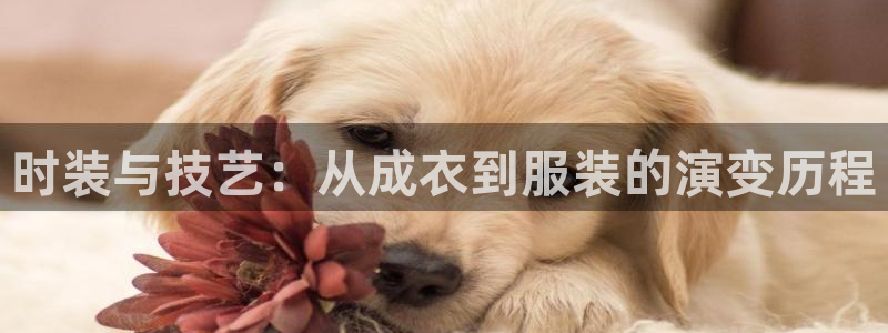 万利记官网电话