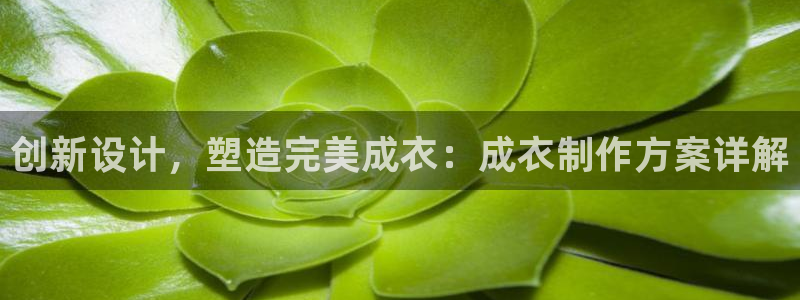 利记网官网