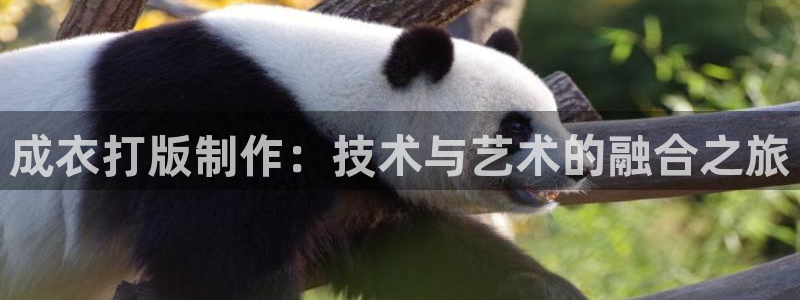 利记官网会员登录