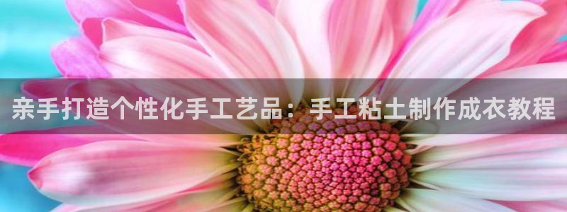 利记 利记官网