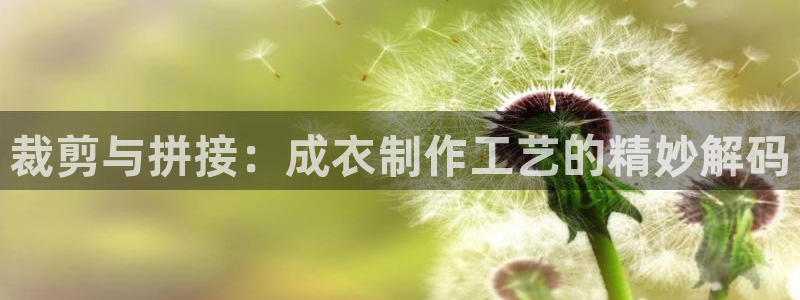 香港利记集团官网旗舰店