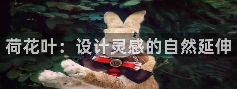 利记彩票平台官网