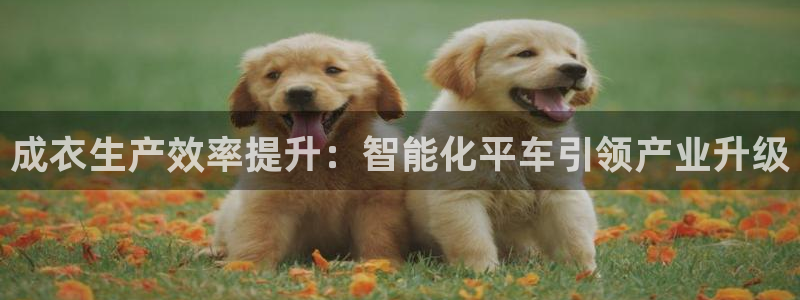 利记彩票平台官网