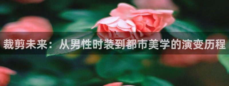 利记体育官网首页