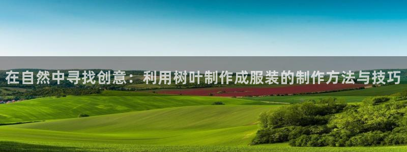 利记体育平台官网