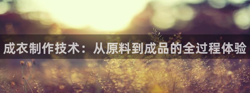 利记官网是什么