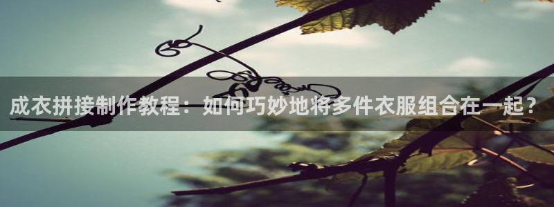 利记官网电脑版