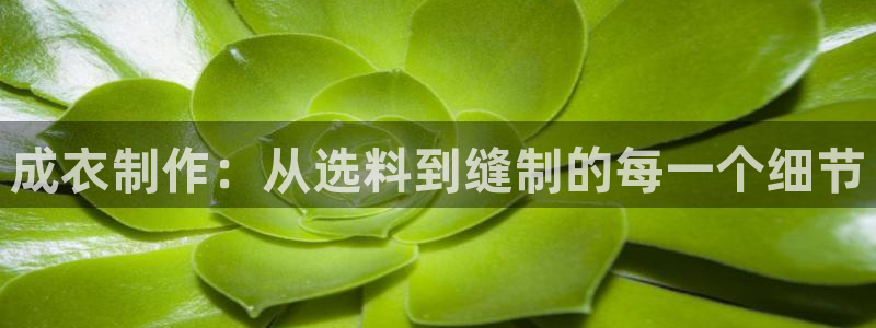 万利记官方旗舰店官网