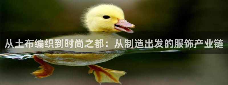 利记国际有限公司官网