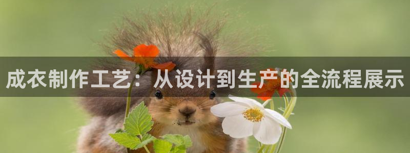 万利记官网