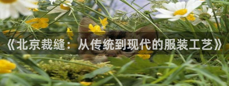 利记官网会员登录