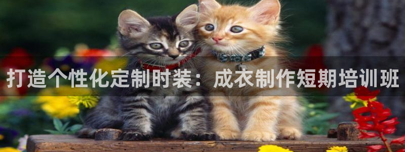 香港利记集团官网招聘