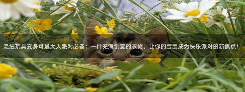 利记真正的官网是多少