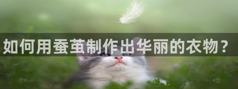 利记国际有限公司官网