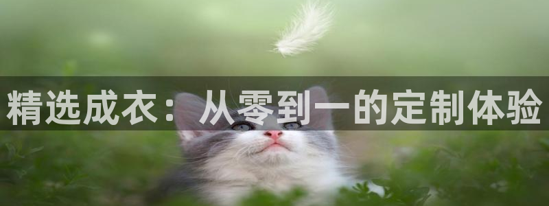 利记官网日亚运比