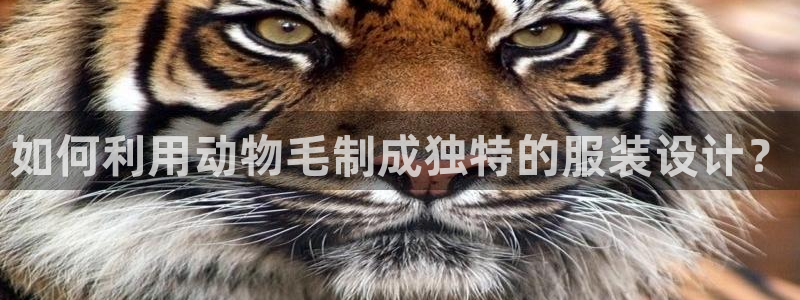 利记真正的官网是多少