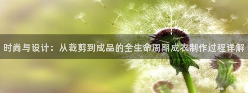 利记彩票网网址官网hd71