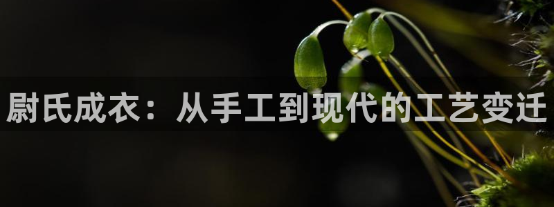 利记广告联盟官网