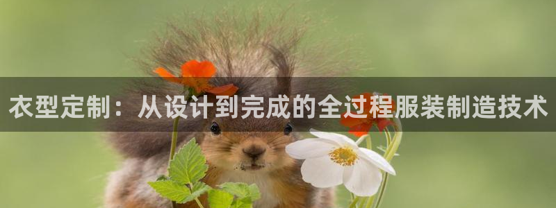 利记体育官网首页